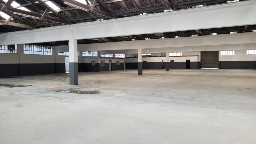 To Let commercial Property for Rent in Epping Industrial Western Cape